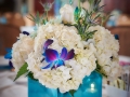 White Hydrangea Centerpieces