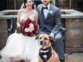 Bride and Groom with Man's Best Friend, their dog