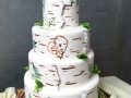 Birch Tree & Bear Cake