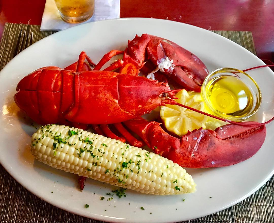 You won’t find a fresher, more succulent lobster anywhere! Call now for